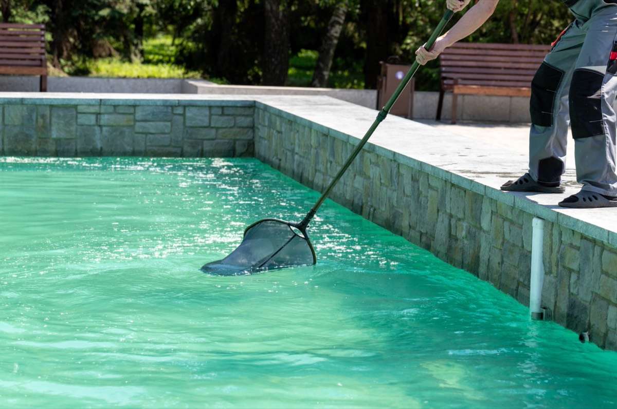 natural pool maintenance cleaning skimming uk